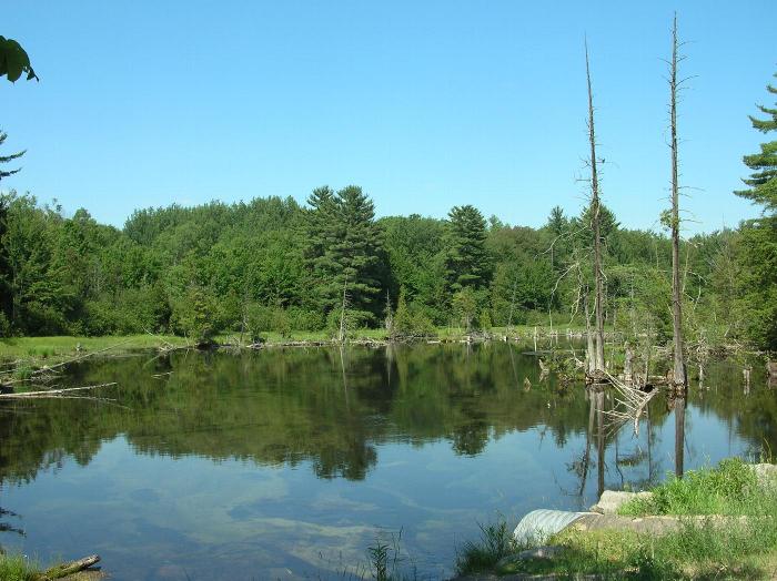 Cedar River Nature Sanctuary